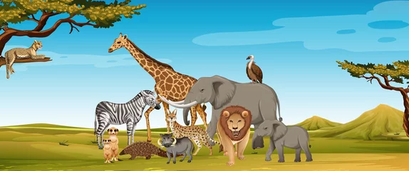 Gruppe wilder afrikanischer Tiere in der Zooszene © blueringmedia
