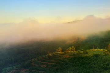 Obraz premium Selective focus of view nature mountain with fog in beautiful sunrise at Nan province of Northern Thailand. 