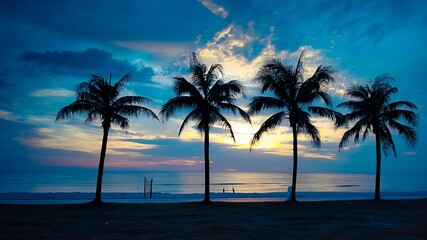 Fototapeta na wymiar Palm Trees On Beach Against Sky During Sunset