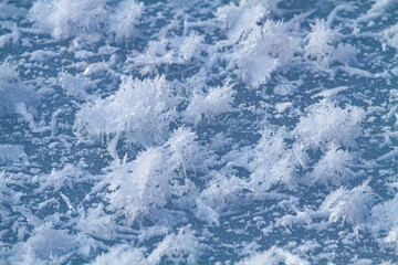 ice crystals on the surface of the ice