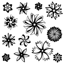Fototapeta na wymiar Vector of flower calligraphic design elements in black lines swirl on white background