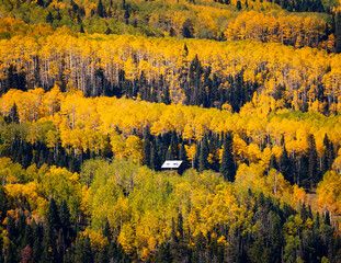Mountain cabin surrounded by fall color