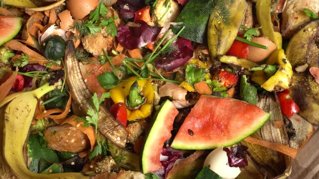 Household food waste. Fruit and vegetables losses. Reusing leftover food to  feed animals, and to produce energy and compost. Sustainable lifestyle, waste reduction, recycling. Zero waste concept