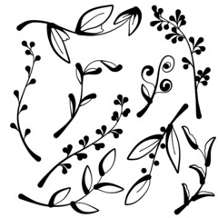 Vector of flower calligraphic design elements in black lines swirl on white background