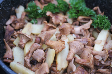 fried Chanterelle or girolle mushrooms with potatoes. fried casserole. summer and autumn seasonal lunch. close up view. homemade dinner. home cooking. forest mushrooms.