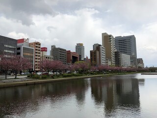 Obraz na płótnie Canvas 福岡中洲に流れる川