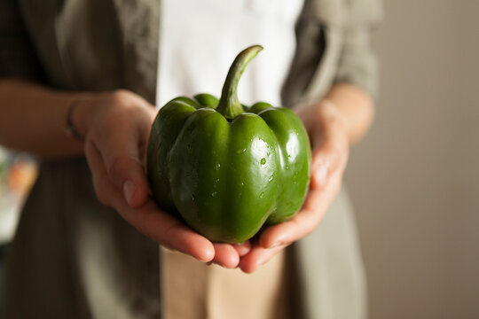 female hands hold juicy bell pepper