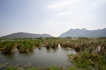 Winter scenery on an air pollution day