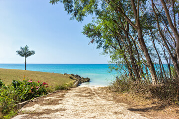 Fototapeta na wymiar A small beach in Westmoreland, Jamaica.