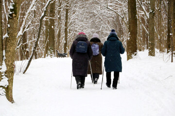 Fototapeta na wymiar Nordic walking, healthy lifestyle. Three women with sticks in winter park during snowfall, cold weather