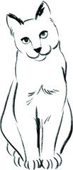 cat line hand drawing isolate © meen