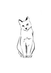 cat line hand drawing isolate © meen