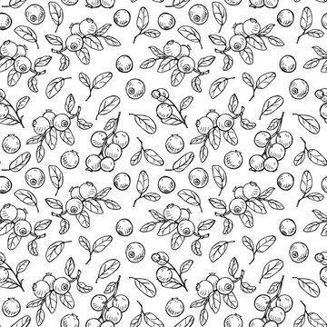 Seamless pattern from sketches with lingonberries.