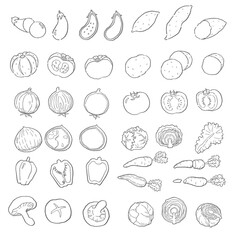 野菜の手描きベクター線画セット