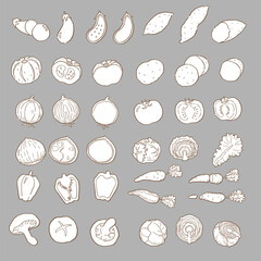 野菜の手描き線画ベクターイラストセット