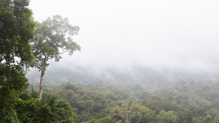 Obraz na płótnie Canvas Viewpoint at Khao Yai National Park