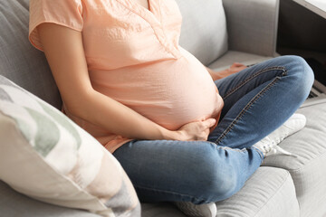 Fototapeta na wymiar Pregnant young woman at home