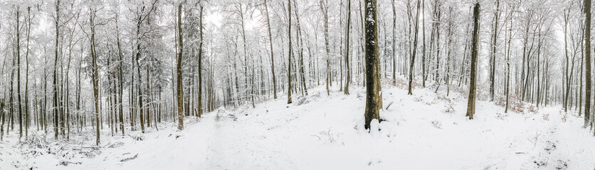 scenic winter landscape at the Platte forest in Wiesbaden