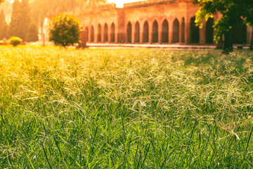 Obraz premium Long over grown grass at a famous tourist place. A historical deserted monument with no people during covid 19 lockdown in the Indian city.