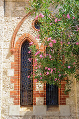 Fototapeta na wymiar Side windows of the Scots Presbyterian Church - Fremantle, WA, Australia
