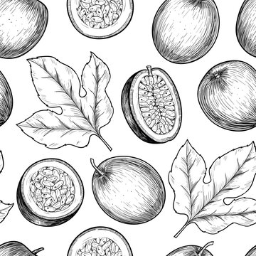 Passion fruit . Vector seamless pattern. Vintage style