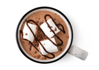 Cup of hot chocolate with marshmallow