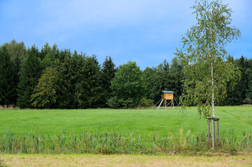 Jagdeinrichtung am Waldrand