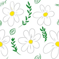 seamless floral pattern daisy chamomile