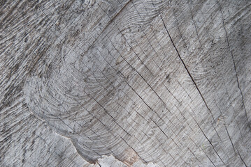 Fototapeta premium holz für hintergrund