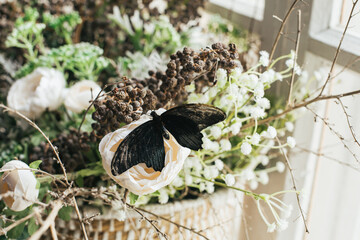 Beautiful and wonderful colors of a butterfly on flowers in the sweet vintage corner