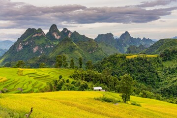 Obraz premium Landscape photo in Tua Chua district, Dien Bien province, Vietnam