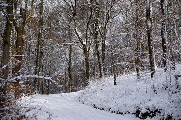 Beschneiter Schlangenweg