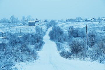 Winter in the Russian village / winter landscape, forest in Russia, snow-covered trees in the province