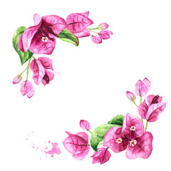 Corners from Pink Bougainvillea branch with flowers and leaves. Hand drawn watercolor illustration isolated on white background