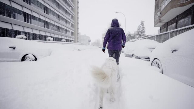 Golden retriever paseando con su dueño en ciudad nevada