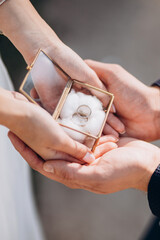 wedding rings in the hands of the bride and groom. Gold rings in a decorative glass box with cotton - 404753537