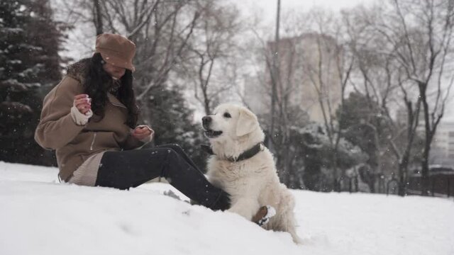 Golden retriever playing with fashion woman in snowy forest