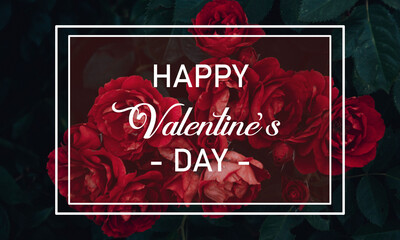Happy Valentine's Day Red Rose Banner.