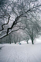 spielende Kinder in verschneiter Landschaft mit Rodelhügel und Bäumen