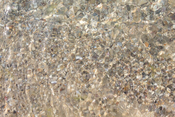 Sandy bottom with shells, shallow, close-up, top view