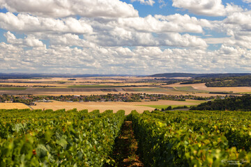 La plaine à partir des vignes de Montgueux, à côté de Troyes.