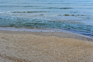 waves on the beach