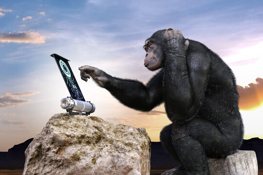 知能の高いチンパンジーが岩に座り電子パネルの操作を頭を抱えながら操作する