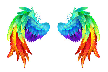 Bright rainbow wings