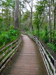 North America, United States, Florida, Collier County, Big Cypress Reservation
