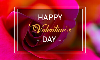 Happy Valentines Day Card With Beautiful Rose