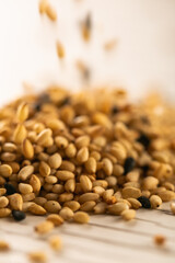 detail of uncooked rice, raw material