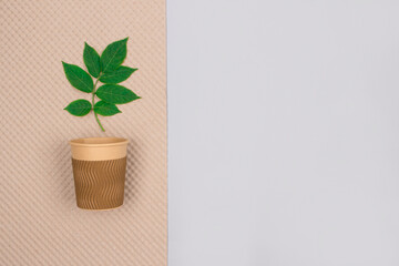 Mockup image of eco-friendly coffee to go cup - kraft paper cup with green leaves above on light gray background with copyspace. Recycled kraft paper packaging and zero waste concept. Selective focus