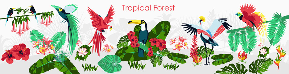 Tropical forest horizontal banner. Summer poster, background with beautiful exotic birds and plants. Parrot, toucan, flamingo, crane, green palm leaves and flowers flat vector illustration