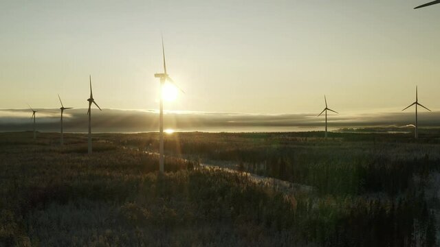 Spectacular side fly in slightly foggy air behind two rows of wind turbines and winter sunset. Flying above winter scandinavian pine tree forest to sea coastline with low Sun above Baltic Sea